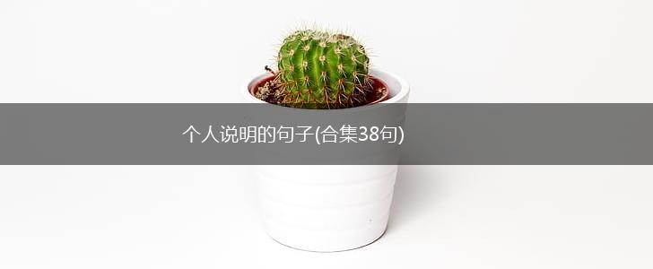 个人说明的句子(合集38句),第1张