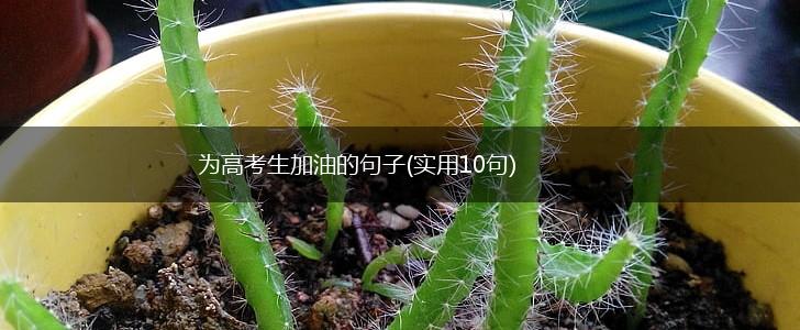 为高考生加油的句子(实用10句),第1张