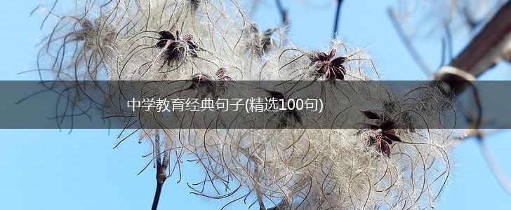 中学教育经典句子(精选100句),第1张
