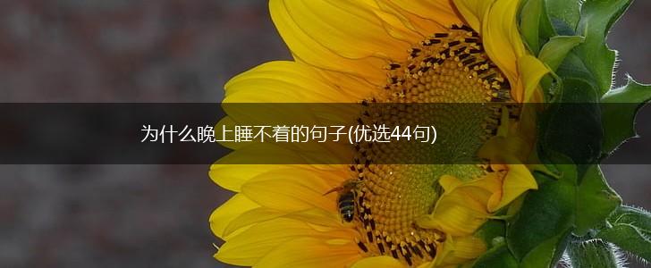 为什么晚上睡不着的句子(优选44句),第1张