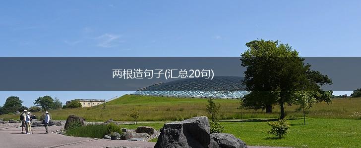 两根造句子(汇总20句),第1张