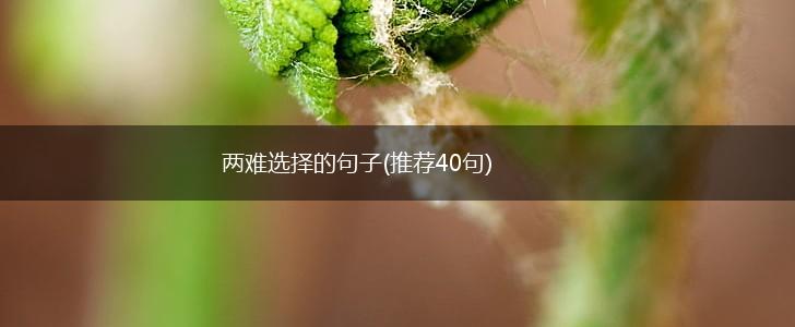 两难选择的句子(推荐40句),第1张