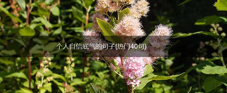 个人自信底气的句子(热门40句),第1张