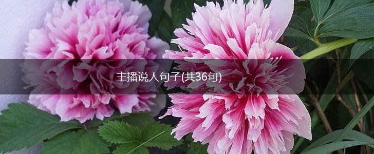 主播说人句子(共36句),第1张