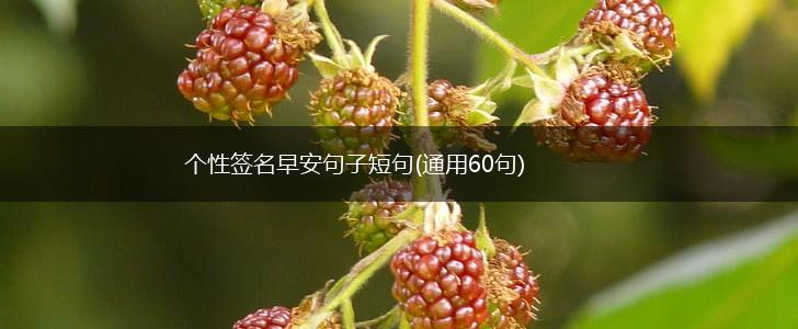 个性签名早安句子短句(通用60句),第1张