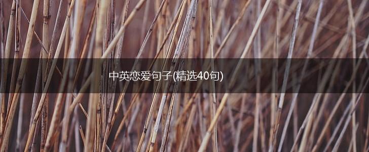 中英恋爱句子(精选40句),第1张