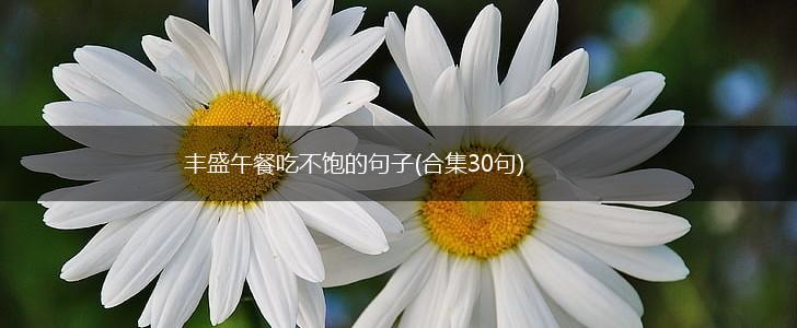 丰盛午餐吃不饱的句子(合集30句),第1张