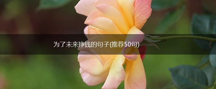 为了未来挣钱的句子(推荐50句),第1张
