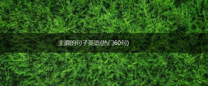 主谓的句子英语(热门60句),第1张