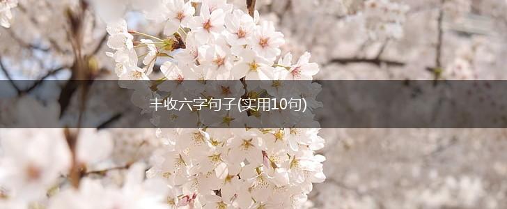 丰收六字句子(实用10句),第1张