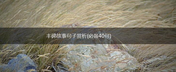 丰碑故事句子赏析(必备40句),第1张