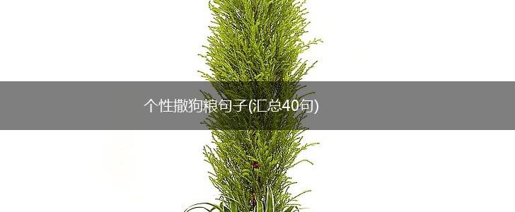 个性撒狗粮句子(汇总40句),第1张