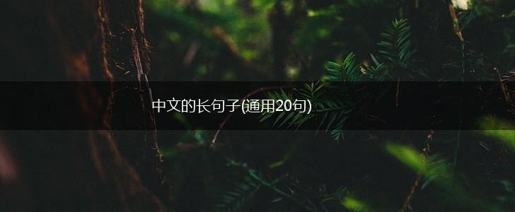 中文的长句子(通用20句),第1张