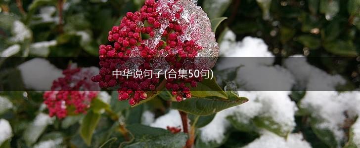 中华说句子(合集50句),第1张