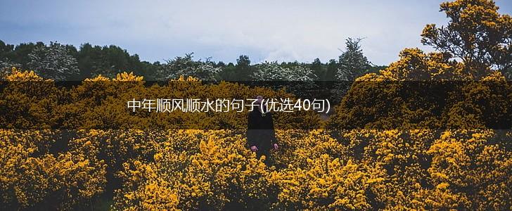 中年顺风顺水的句子(优选40句),第1张