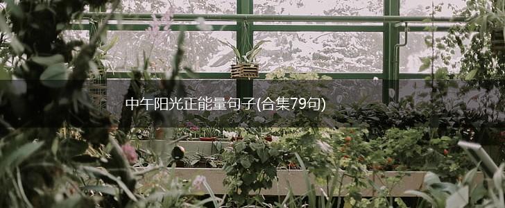 中午阳光正能量句子(合集79句),第1张