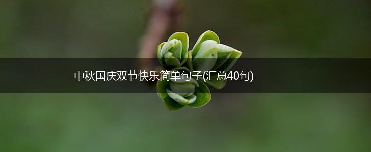 中秋国庆双节快乐简单句子(汇总40句),第1张