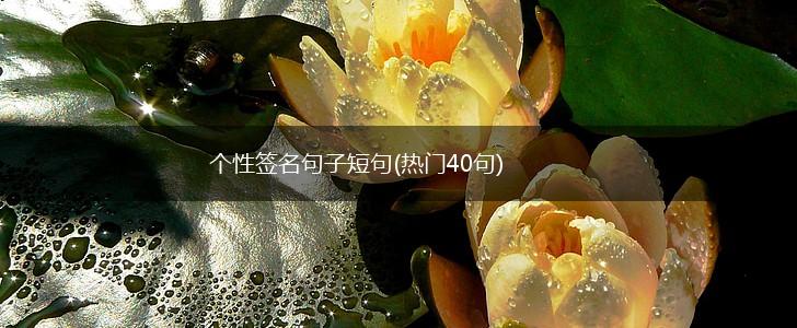 个性签名句子短句(热门40句),第1张