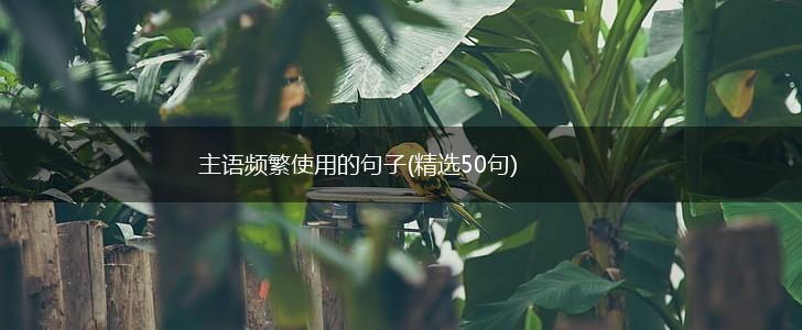 主语频繁使用的句子(精选50句),第1张