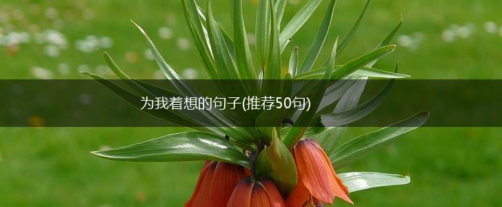 为我着想的句子(推荐50句),第1张