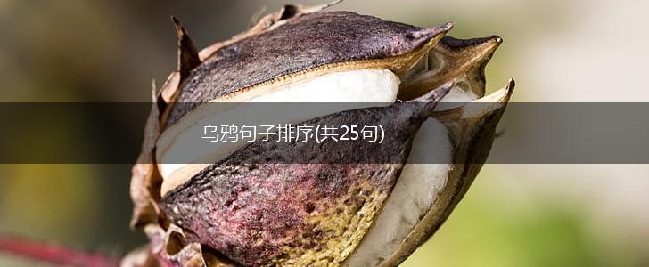 乌鸦句子排序(共25句),第1张