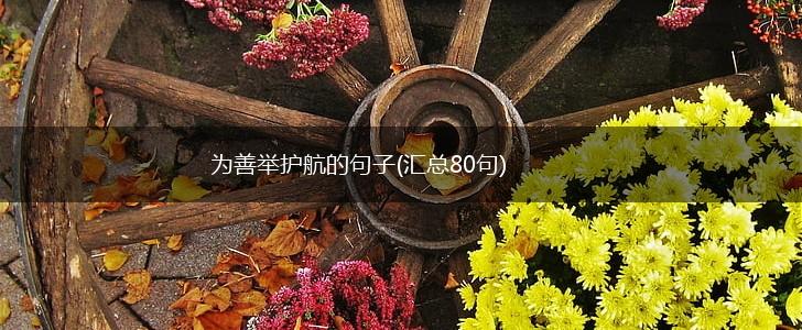 为善举护航的句子(汇总80句),第1张