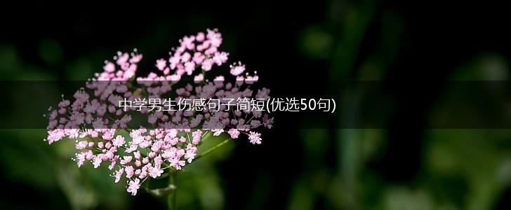 中学男生伤感句子简短(优选50句),第1张