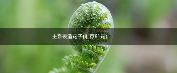 主系表造句子(推荐81句),第1张