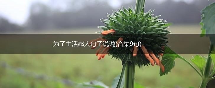 为了生活感人句子说说(合集9句),第1张