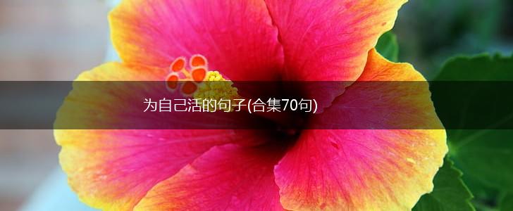 为自己活的句子(合集70句),第1张