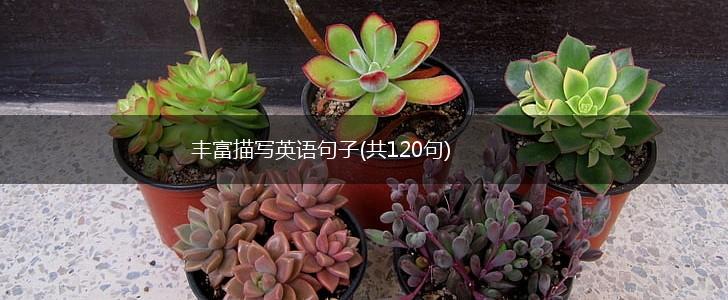 丰富描写英语句子(共120句),第1张