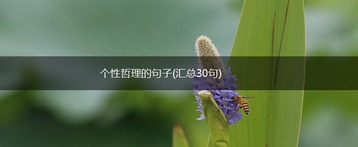 个性哲理的句子(汇总30句),第1张
