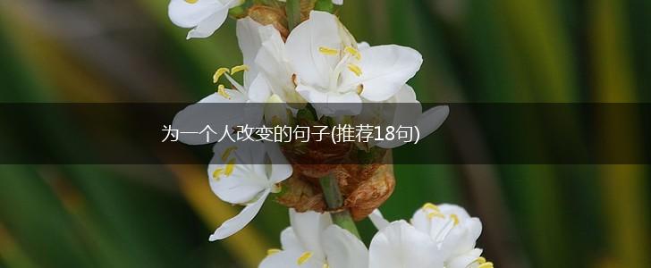 为一个人改变的句子(推荐18句),第1张