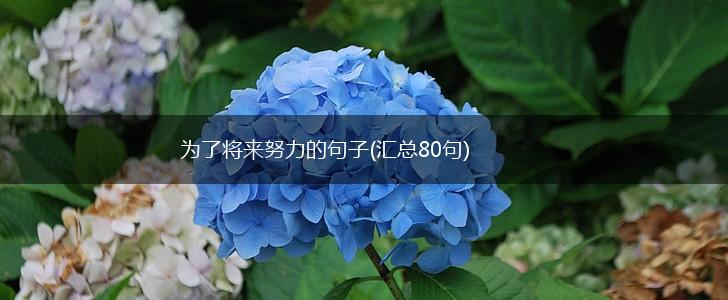 为了将来努力的句子(汇总80句),第1张