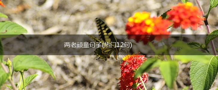 两老顽童句子(热门12句),第1张