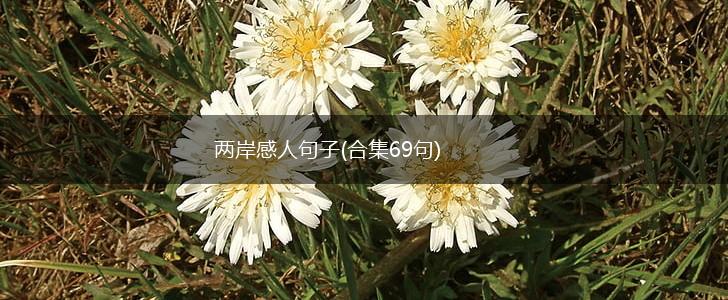 两岸感人句子(合集69句),第1张