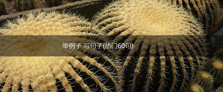 举例子 写句子(热门60句),第1张