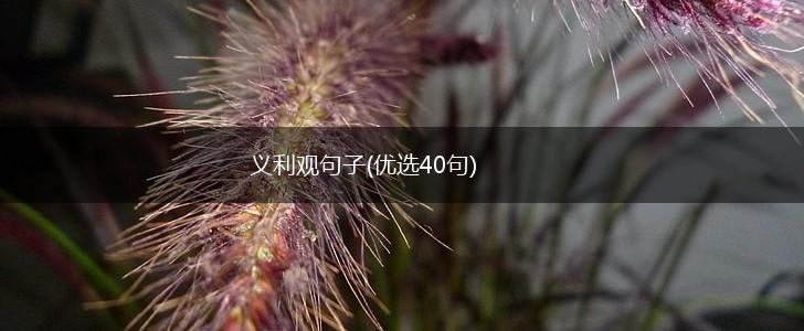 义利观句子(优选40句),第1张