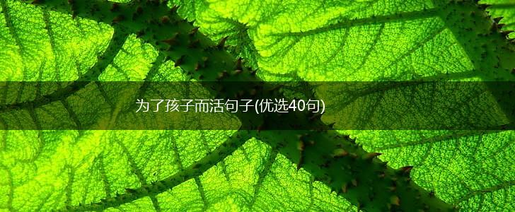 为了孩子而活句子(优选40句),第1张