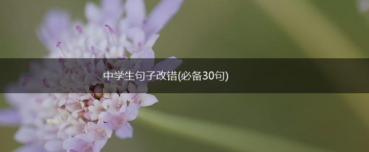 中学生句子改错(必备30句),第1张