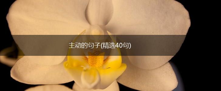 主动的句子(精选40句),第1张
