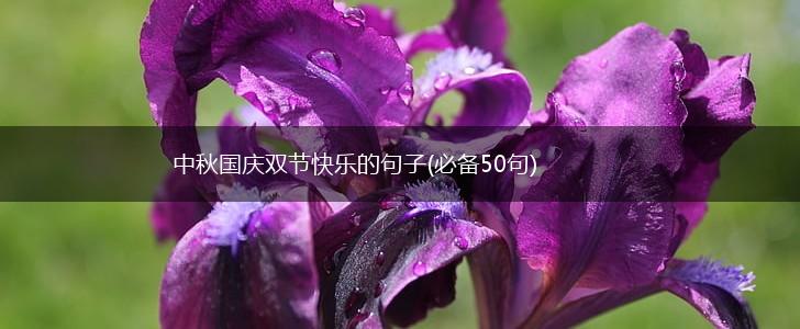 中秋国庆双节快乐的句子(必备50句),第1张