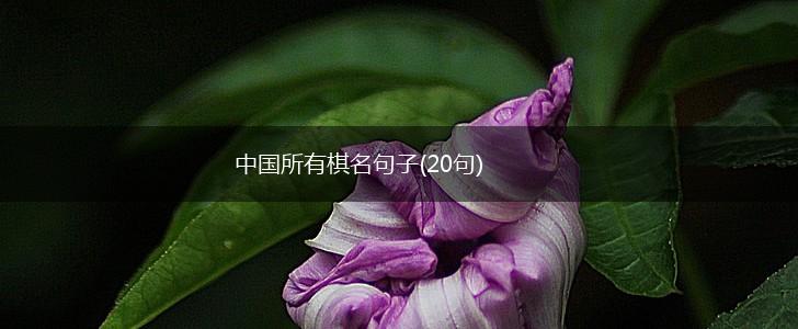 中国所有棋名句子(20句),第1张