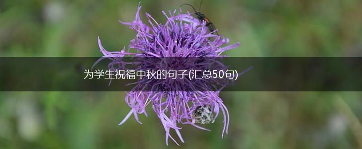 为学生祝福中秋的句子(汇总50句),第1张