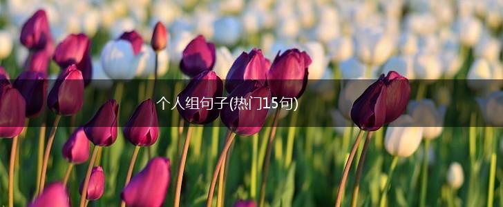 个人组句子(热门15句),第1张