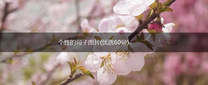 个性的句子图片(优选60句),第1张