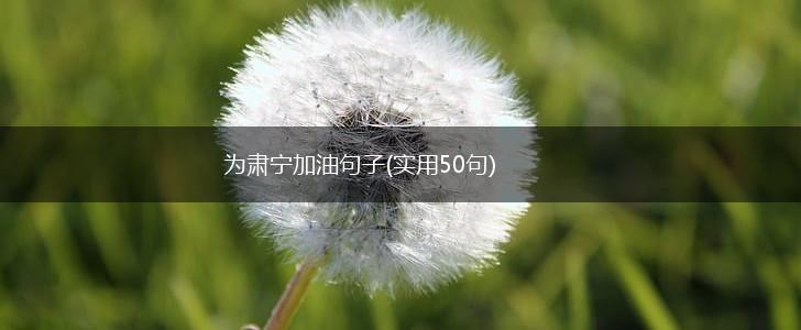 为肃宁加油句子(实用50句),第1张