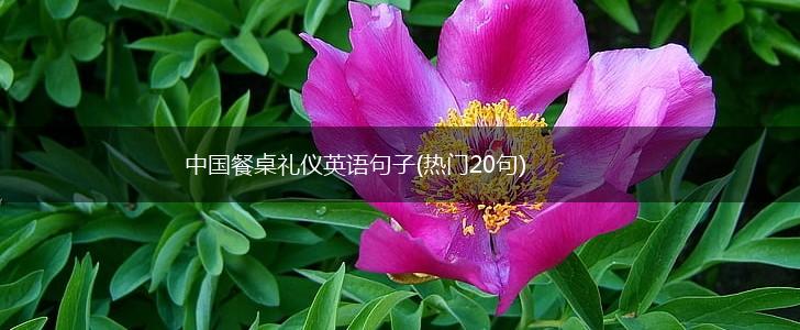 中国餐桌礼仪英语句子(热门20句),第1张