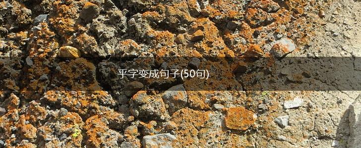 乎字变成句子(50句),第1张