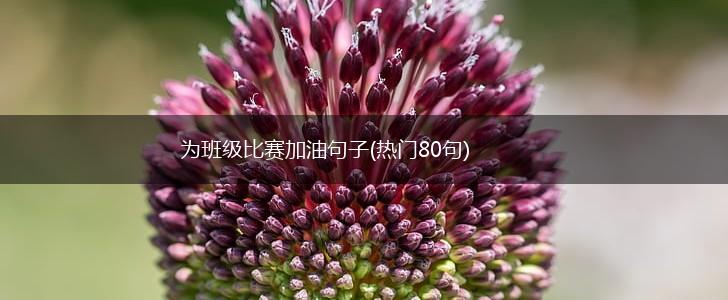 为班级比赛加油句子(热门80句),第1张